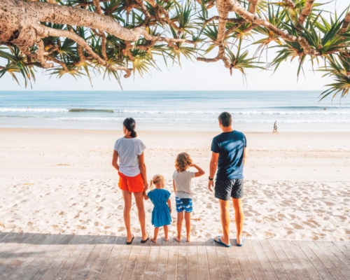 ivory-palms-family